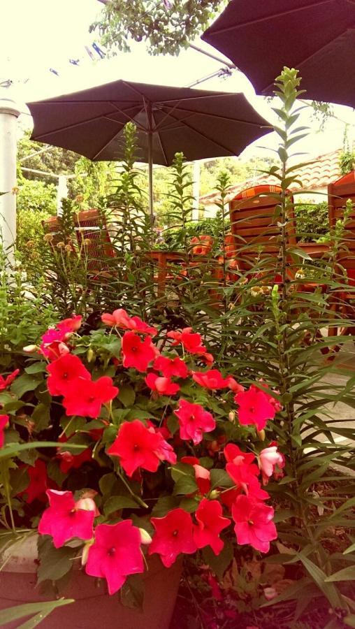 Motel Stone Gardens Doli 外观 照片